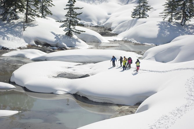 Fluffy New Snow and the Earth Beating, Goshougake Oyunuma Snowshoeing Tour - Capturing the Breathtaking Scenery