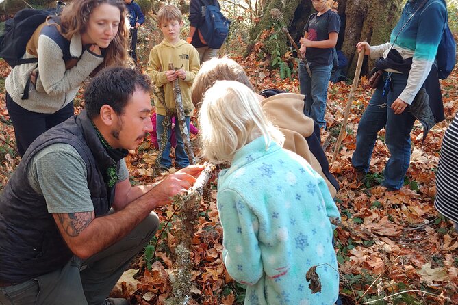 Foraging Tour of Edible Plants Review - The Sum Up