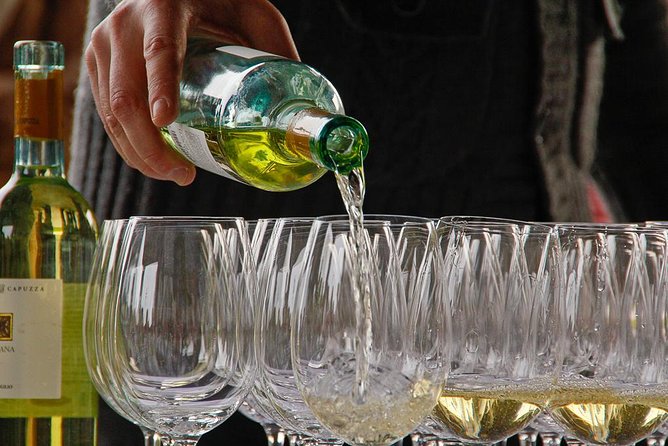 From Verona and Garda: Visit to Sirmione and Lugana Wine Experience - Ask Away