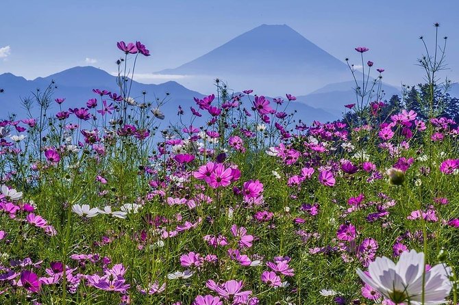 Fuji Kawaguchiko Hakone Private Car Tour - Itinerary
