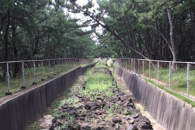 Fukuoka Nature and Cultural Sightseeing Tour - Peaceful Nature Experiences