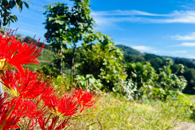 Full Day 7hr Private Van True Hidden Kyoto Matcha Farm Experience - Additional Considerations