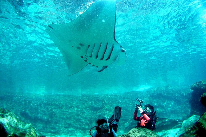 Full Day Guided Boat 2diving in Kerama Islands（License Required） - Getting the Most Out of Your Experience