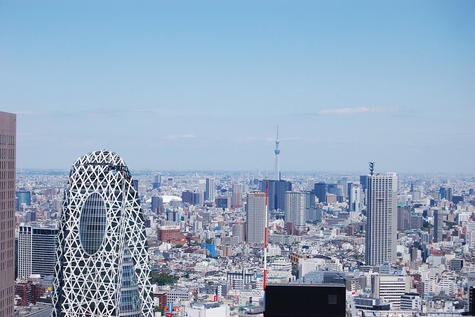 Full-Day Panoramic Bus Tour in Tokyo With Bay Cruise - Booking and Pricing