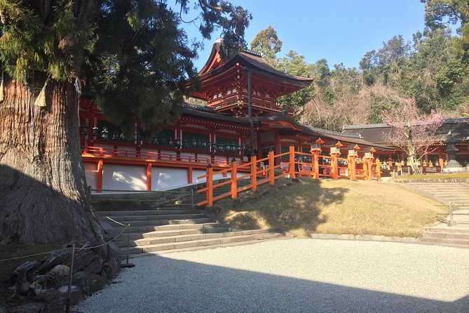 Full-Day Private Guided Tour to Nara Temples - Strolling Through Nara Park