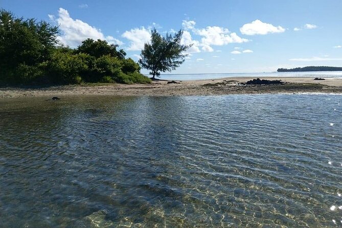 Full-Day Private Hiking Le Morne Mountain & Seafood Lunch at Islet Fourneau - Frequently Asked Questions