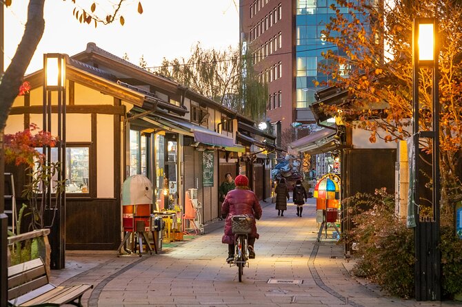 Full-Day Private Nikko Tour From Tokyo Wd English Speaking Driver - Practical Tips and Considerations