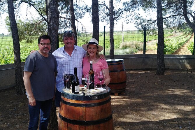 Full Day Private Requena Wineries Premium Tastings - Ask Away