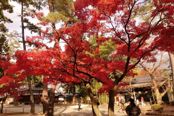 Full Day Private Walking Day Tour in Kyoto With Tea - Discovering Kyotos Highlights