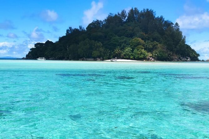 Full Day Reef Safari - St Anne Marine Park Seychelles - Booking Details and Tips