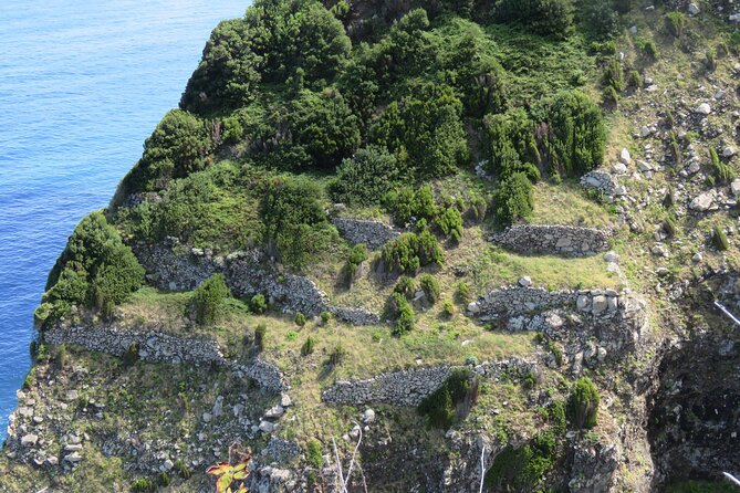 Full Day Tour in 4x4 Jeep to Porto Moniz and Fanal - Why Choose This Tour