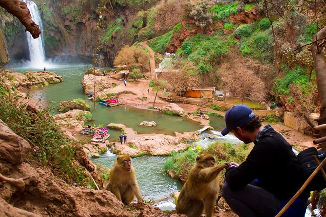 Full Day Trip to Ouzoud Waterfalls From Marrakech - Frequently Asked Questions