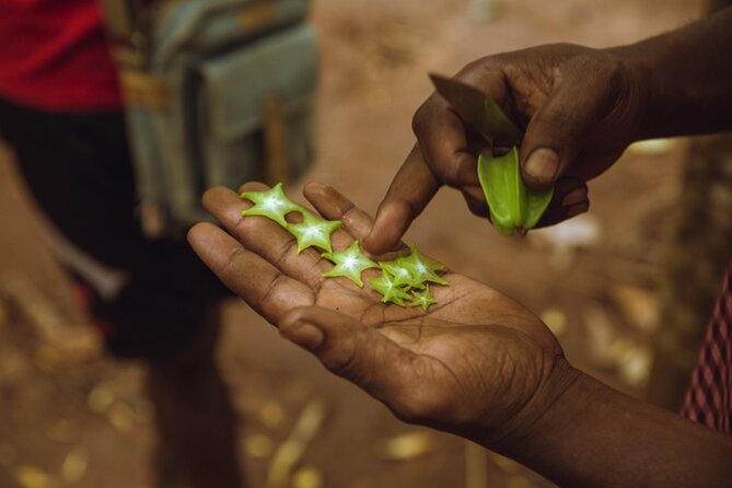 Full Day Trip to Stone Town, Spice Farms and Prison Island - Frequently Asked Questions