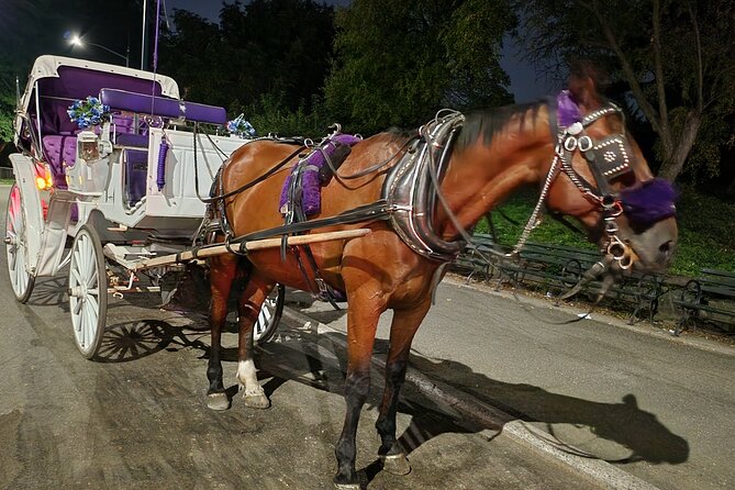 Full Loop Private Horse Carriage Ride in Central Park 45 Minutes - Frequently Asked Questions
