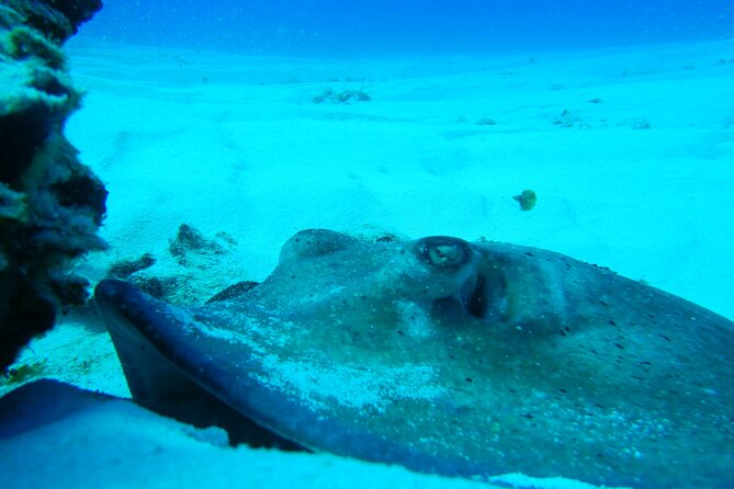 Fun Dives Cozumel South Marine Park - Customer Ratings