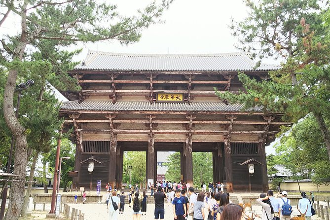 Fushimi Inari & Nara Highlights Walking Tour - Additional Considerations