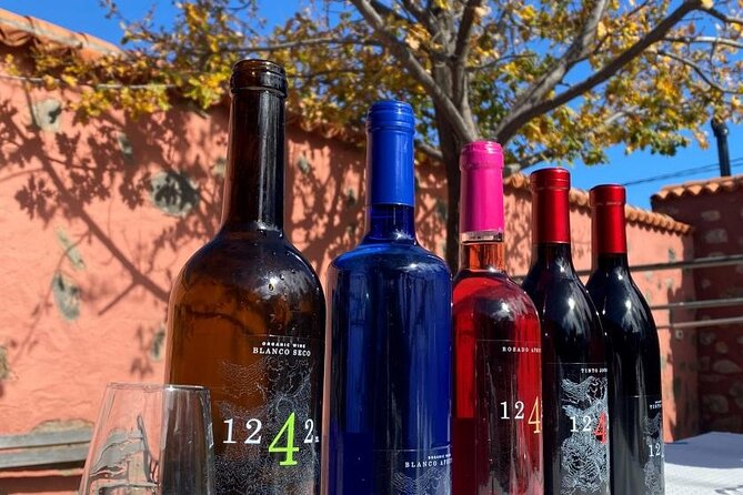 Gastro Wine Tour South Tenerife - Tenerifes Wine Region