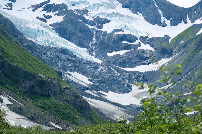 Glacier View & Wildlife Anchorage Adventure Tour - Accessibility and Weather Considerations