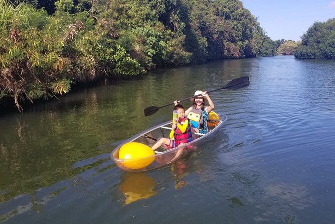 Glass Bottom Kayak - Guaranteed to See Turtles! - Prioritizing Safety and Flexibility