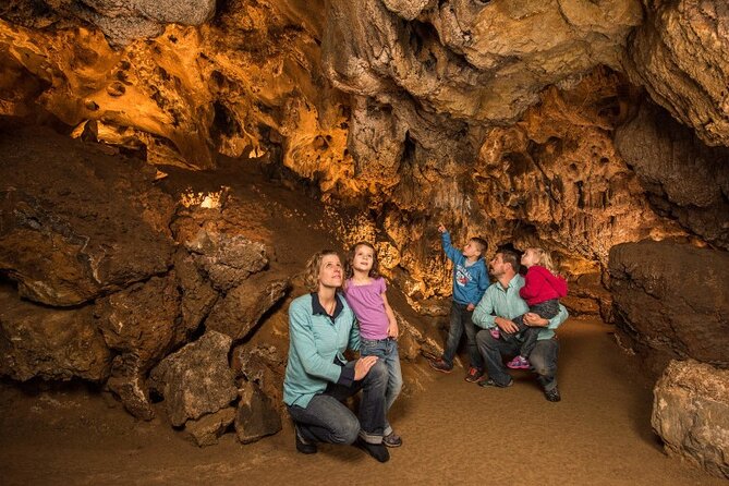Glenwood Adventure Park Tour - Tips for a Great Experience