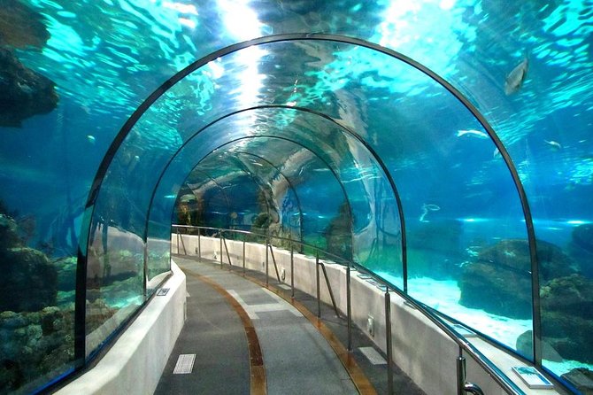 Grand Aquarium Hurghada Amazing Tour With Transfer - Hughada - Frequently Asked Questions