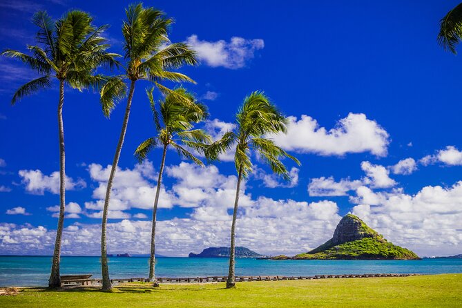 Grand Circle Island and Haleiwa 9 Hour Tour - Exceptional Driver Guide