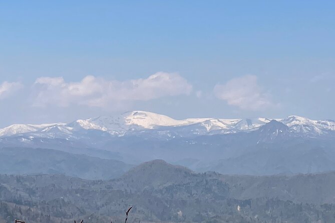 Green Season Half Day Hikes in Sapporo and Hokkaido With Onsen - Exploring Sapporo and Hokkaido Beyond the Hike
