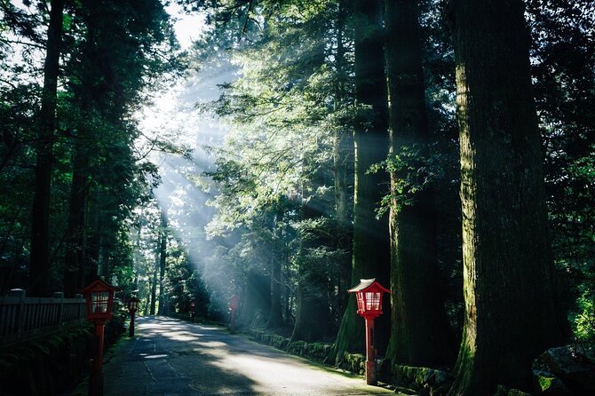 Group 1 Day Tour of Mt. Fuji and Hakone: Onsen, Arts, and Nature - Discovering Hakones Wonders