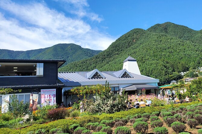 Guided 2 Days Mt. Fuji and Hakone Tour GREEN NUMBER PLATES - Highlights and Recommendations