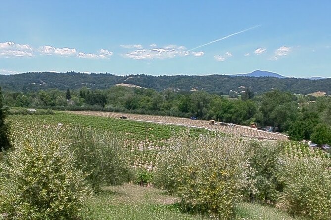 Guided Electric Bike Wine Tour Through Sonoma County - Frequently Asked Questions