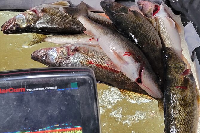 Guided Fishing Adventures in Castle Rock Lake - Meeting and Pickup Details
