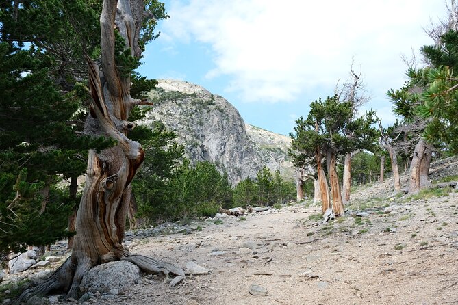 Guided Hike in Rockies Review - Customer Reviews and Ratings