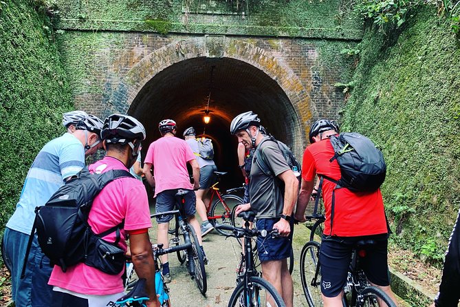 Guided Hybrid Bike Tour in Shizuoka City (Note: Not E-Bikes) - Navigating the Tour With an Expert Guide