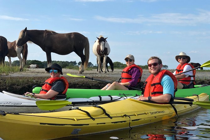 Guided Kayak Tour to See Ponies, Birds, Dolphins and More - Adapting to Weather and Tide Conditions