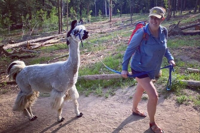 Guided Llama Hike in the Rocky Mountains - Frequently Asked Questions