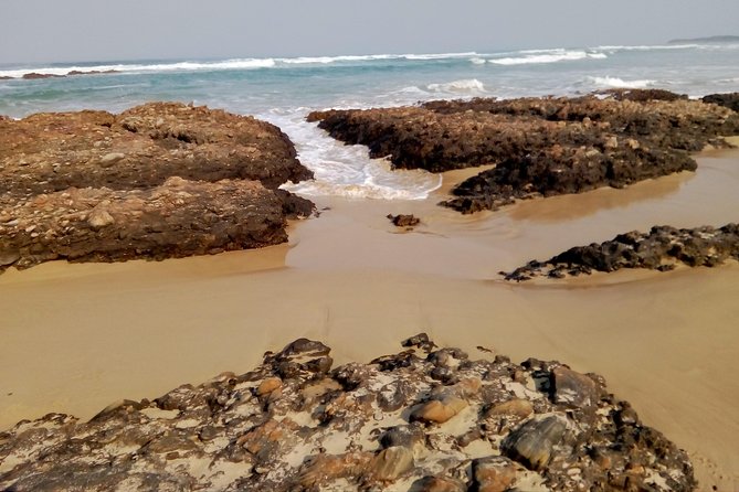 Guided Marine Walk: - Sardinia Bay (Marine Protected Area) - 2 Hours - Frequently Asked Questions
