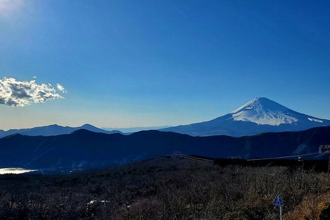 Guided Private Hakone Tour GREEN NUMBER PLATES - Additional Information