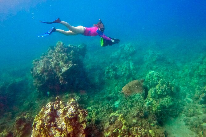 Guided Turtle Town Snorkel Tour With Sea Scooter - Makena - Memorable Moments With Marine Life