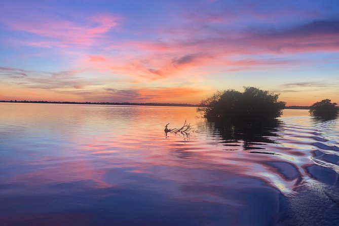 Guided Two Hour Boat Tour of the Indian River Lagoon - What to Expect on the Tour