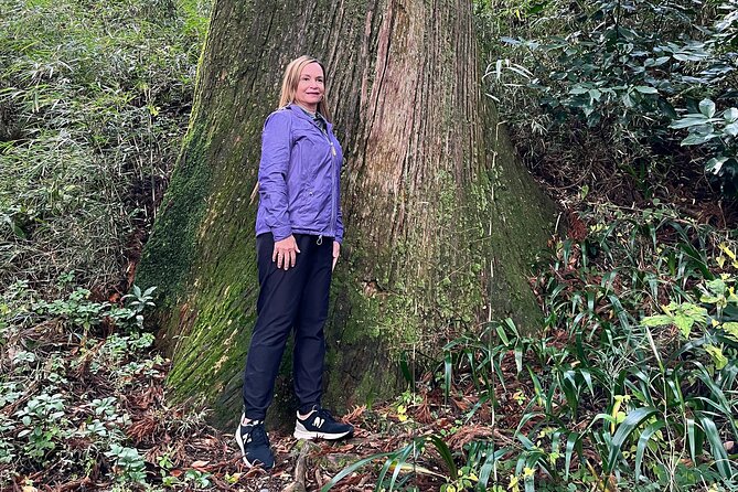 Hakone Full Day Tour With Guide and Vehicle - Exploring the Natural Beauty of Hakone