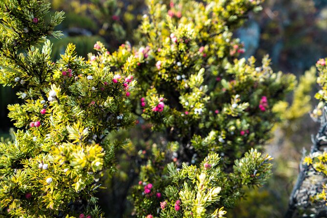 Haleakala Crater Hiking Experience - Inclusions and Health Considerations