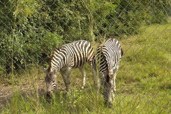 Half-day Accra Safari Tour - Frequently Asked Questions
