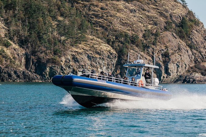 Half-Day Anacortes Whale and Wildlife Watching Guided Adventure - Transportation Options
