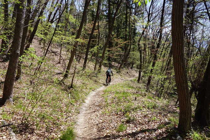 Half Day E-Bike Adventure Tour in Nagano - Frequently Asked Questions