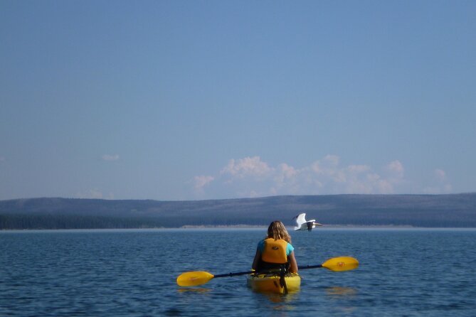 Half Day Paddle on Yellowstone Lake Review - Reviewer Ratings and Feedback
