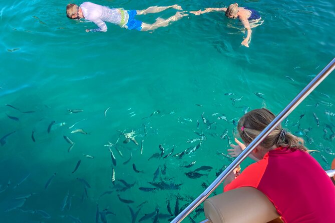 Half Day Private Boat Tour to Cala Violina - Ask Away