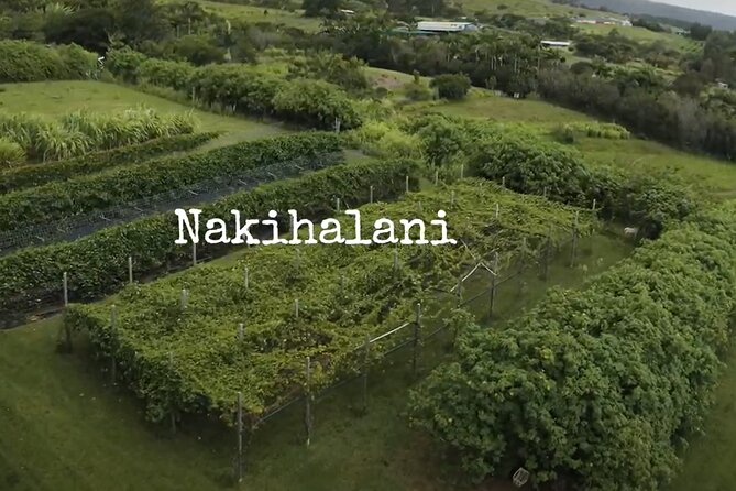 Hamakua Coast Farm Tour Review - Guest Reviews and Ratings