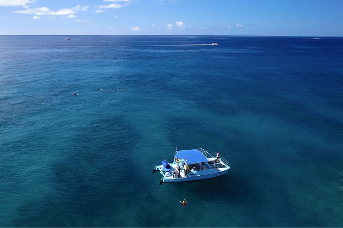 Hawaii Snorkeling With Turtles Boat Tour in Waikiki - Customer Feedback and Reviews