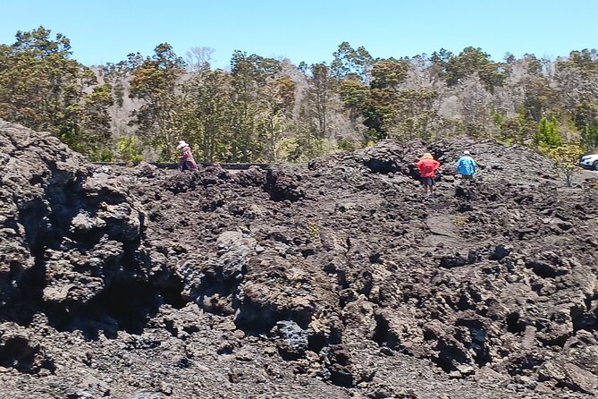 Hawaii Volcano National Park Shore Excursion - Booking and Availability
