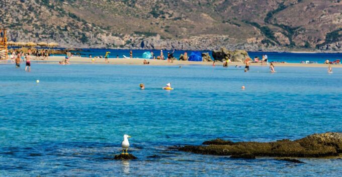 Heraklion: Elafonisi Beach: Discover the Pink Sand Paradise - Frequently Asked Questions